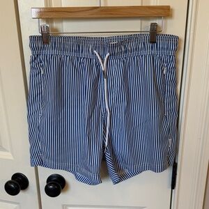 Blue Striped Men's Swim Shorts